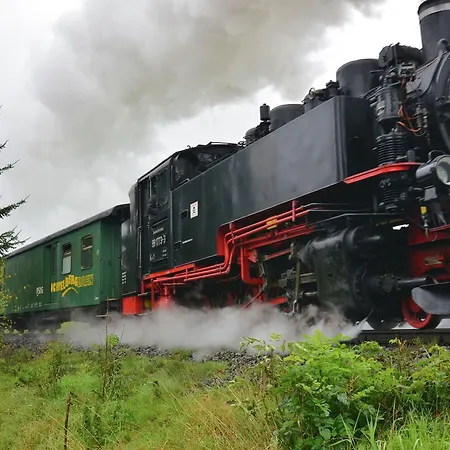 Дом отдыха Holiday An Der Fichtelbergbahn 2 Кроттендорф